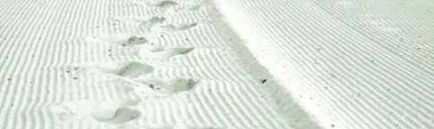 Metodololog&iacute;a, Desarrollo..